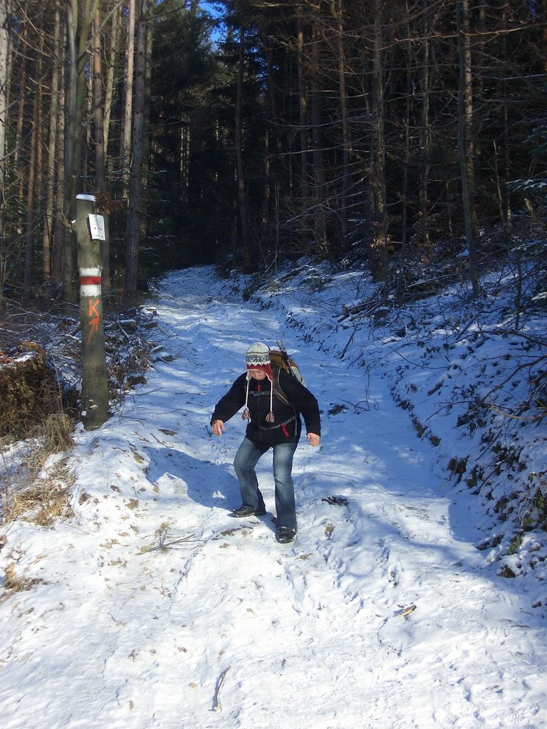CIMG3640.JPG