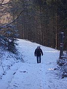 CIMG3626.JPG