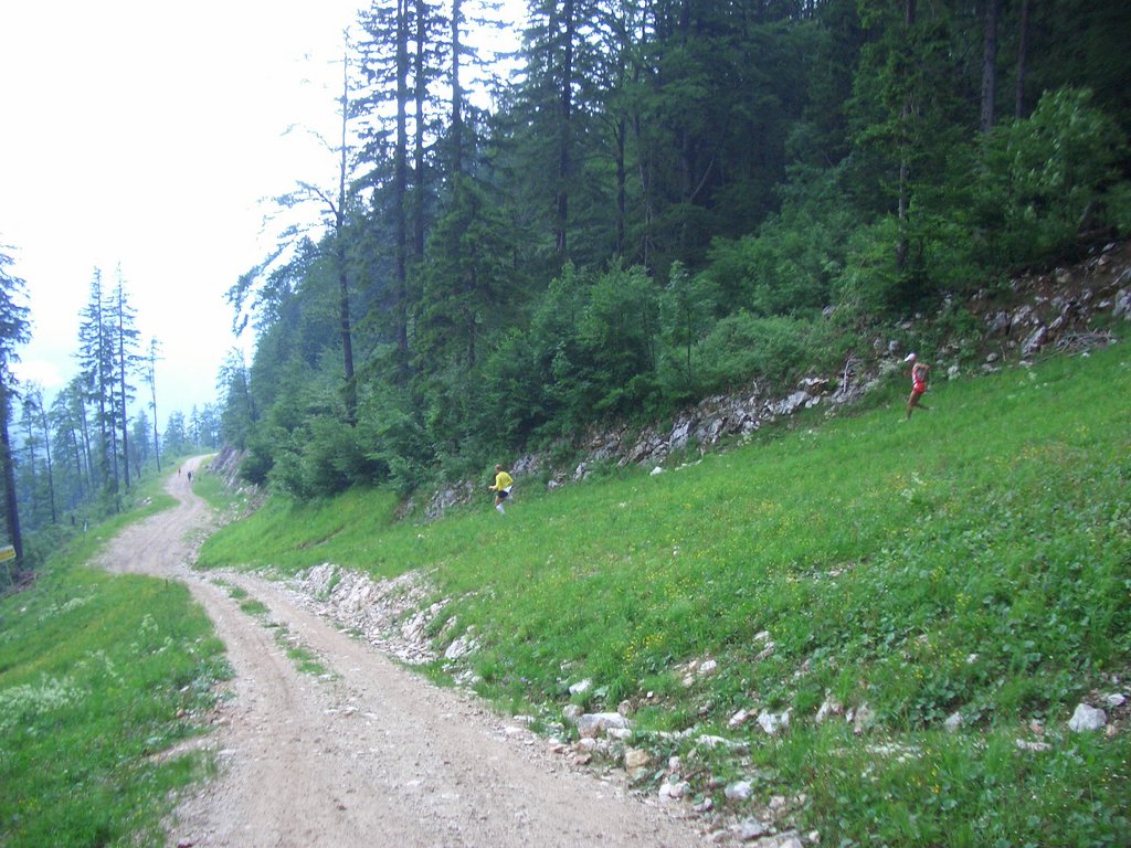 CIMG5762.JPG