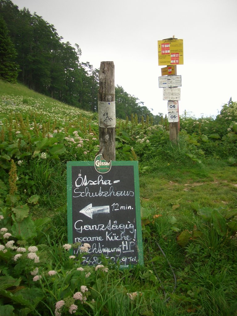 CIMG5765.JPG