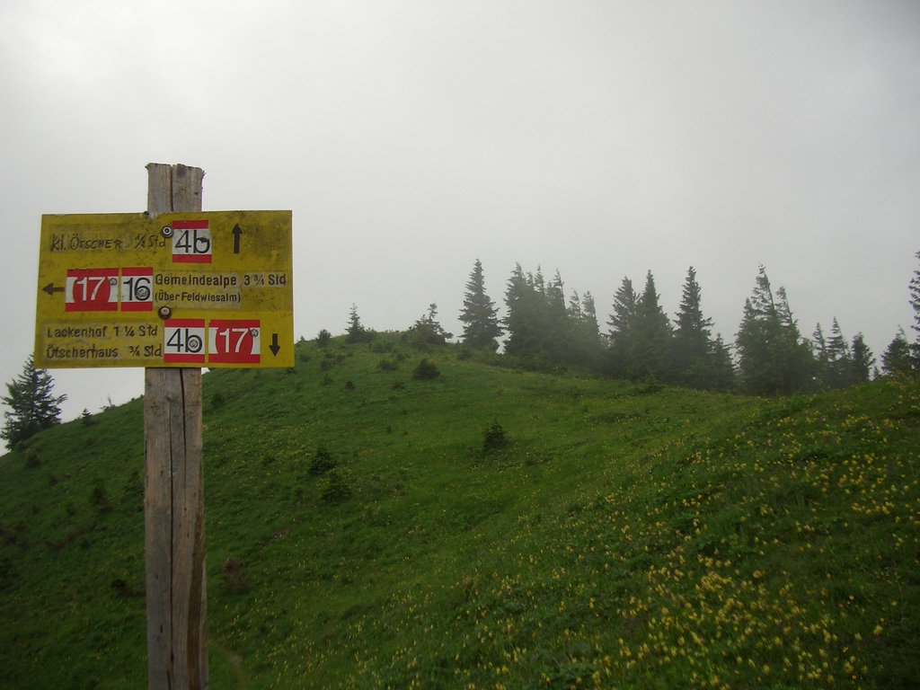 CIMG5770.JPG