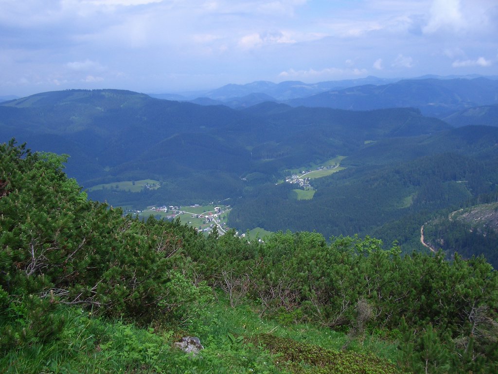 CIMG5779.JPG