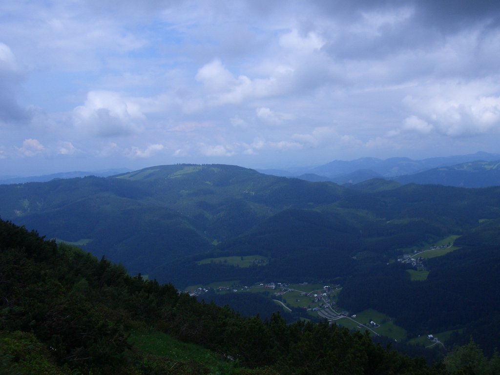 CIMG5806.JPG