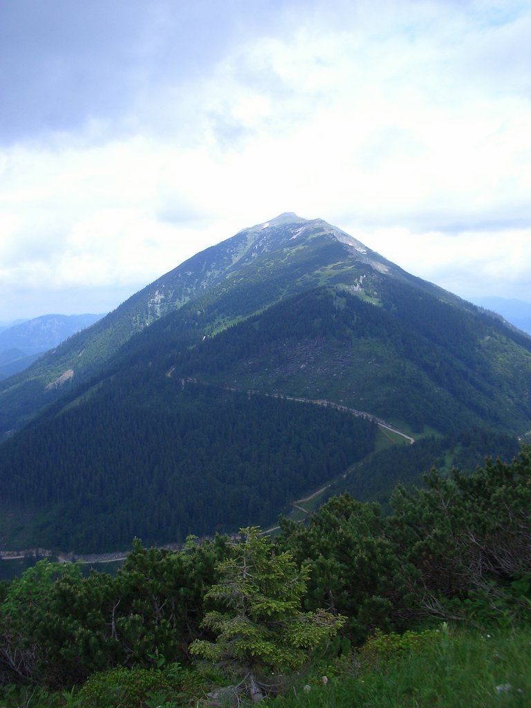 CIMG5808.JPG