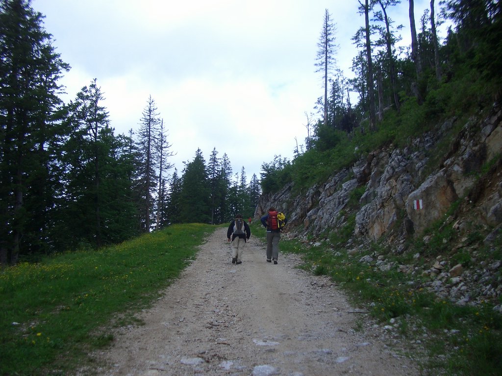 CIMG5811.JPG