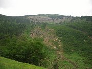 CIMG5756.JPG