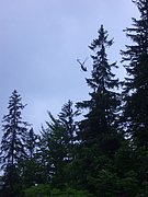 CIMG5761.JPG