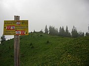 CIMG5770.JPG