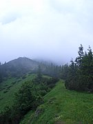 CIMG5773.JPG