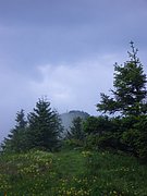 CIMG5777.JPG
