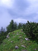CIMG5781.JPG