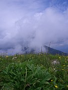 CIMG5800.JPG