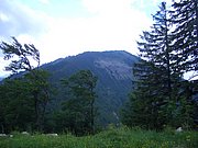 CIMG5810.JPG