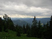 CIMG5814.JPG