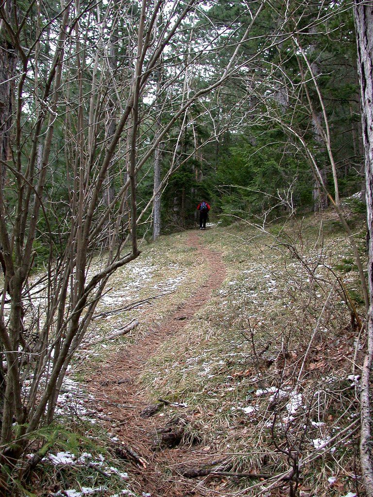 DSCN4928.JPG