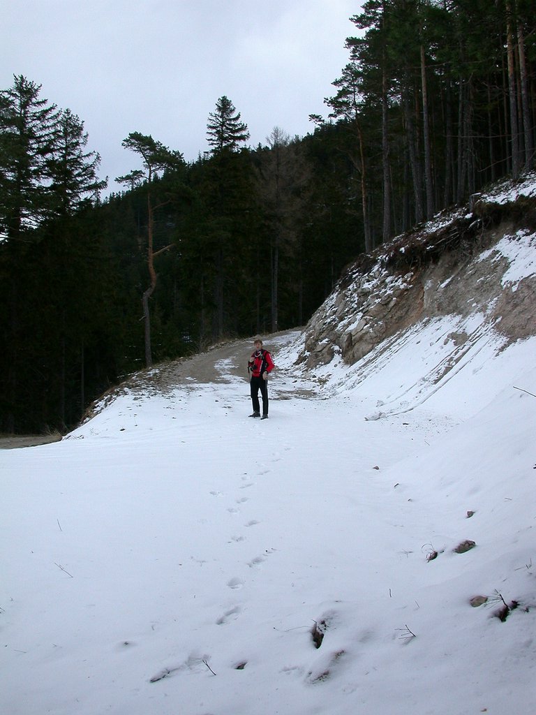 DSCN4931.JPG