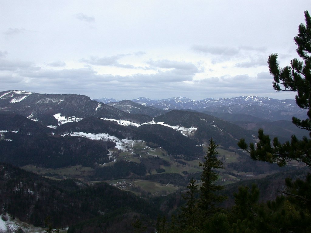 DSCN4935.JPG