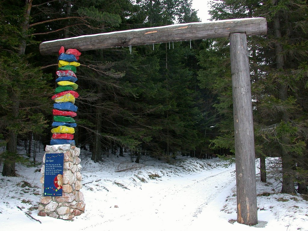 DSCN4942.JPG