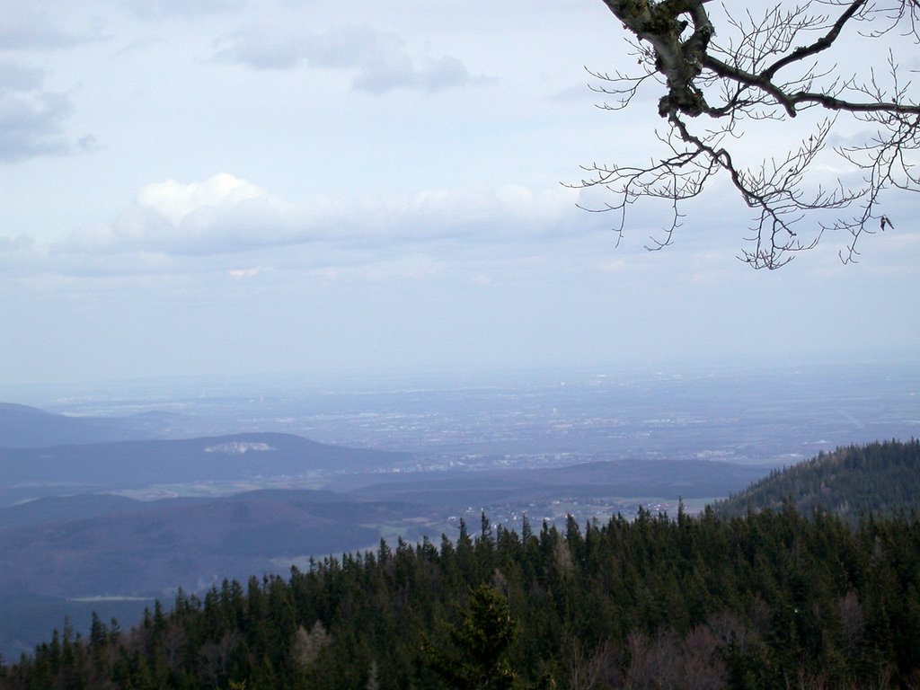 DSCN4944.JPG