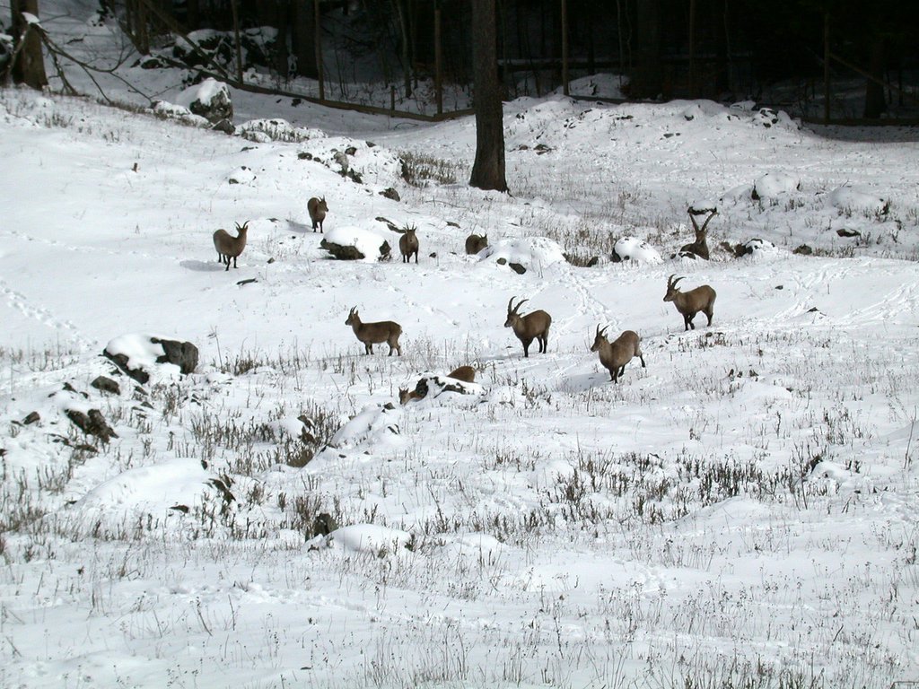 DSCN4952.JPG