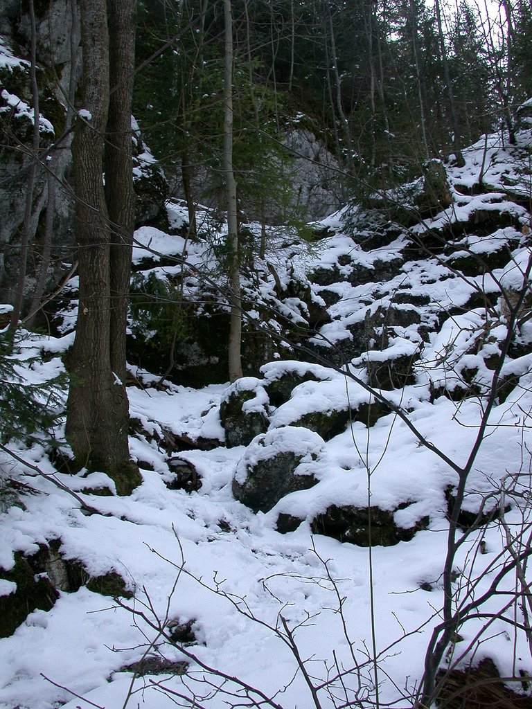 DSCN4964.JPG
