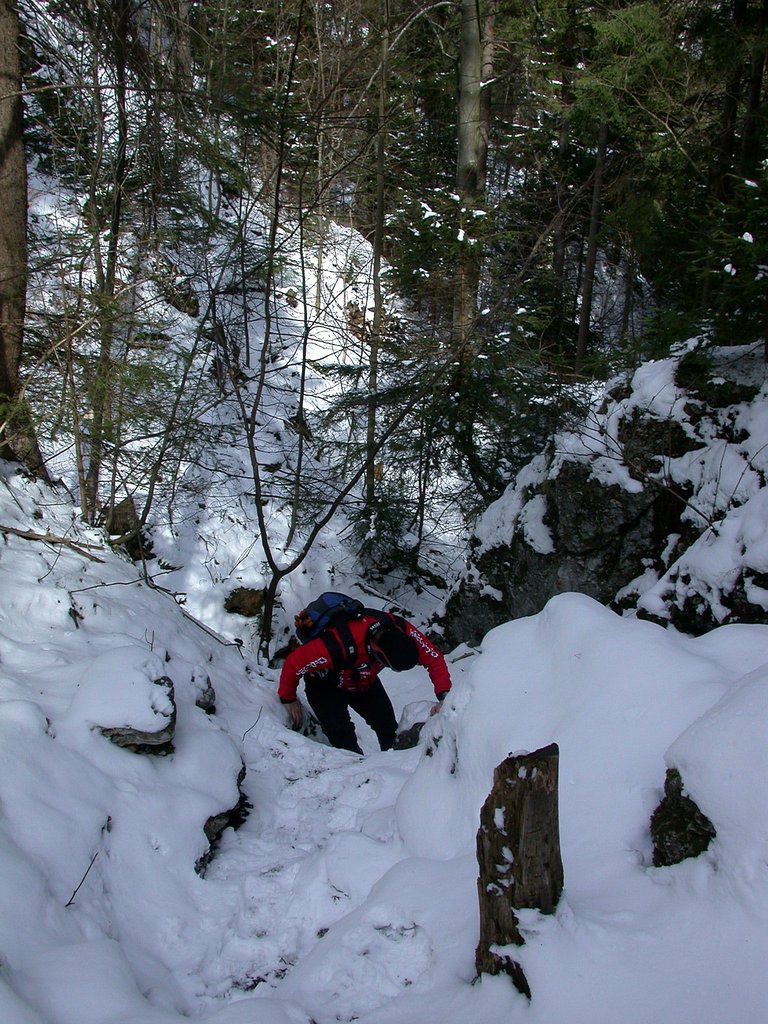 DSCN4965.JPG