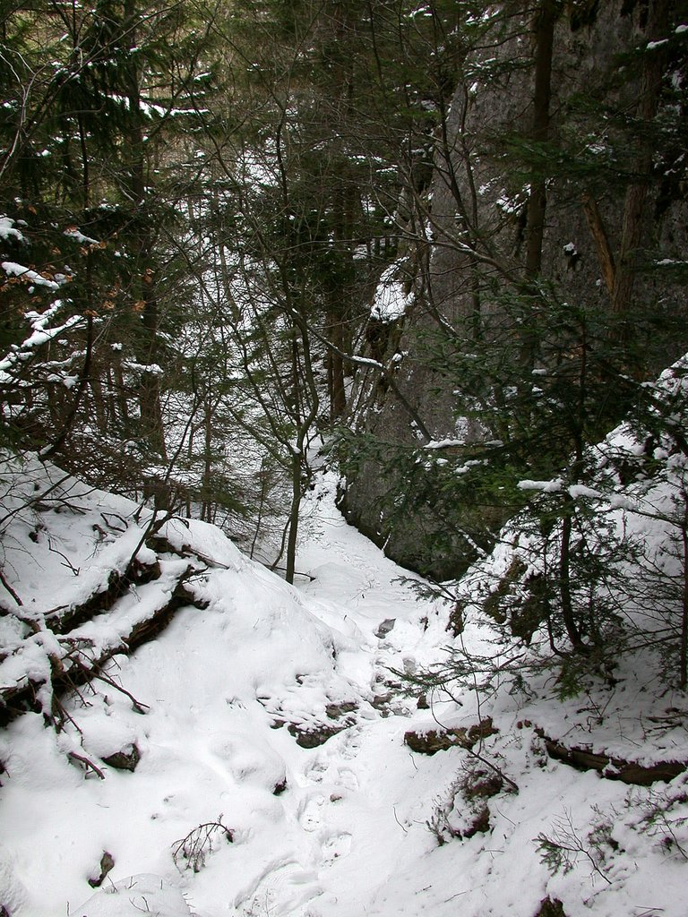 DSCN4966.JPG