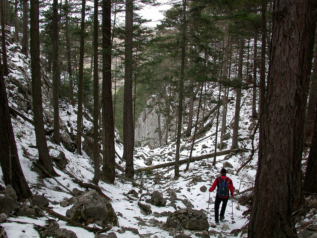 DSCN4968.JPG