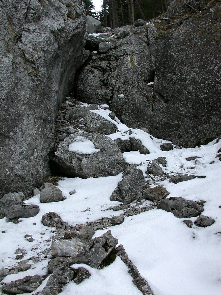 DSCN4969.JPG
