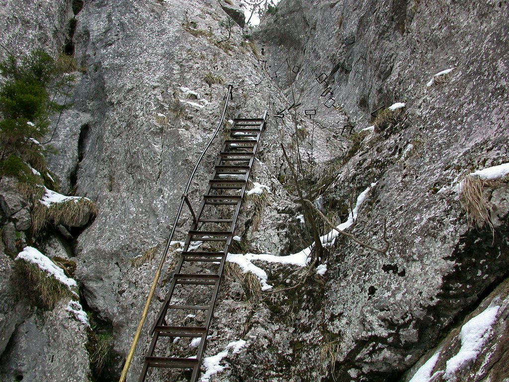 DSCN4972.JPG