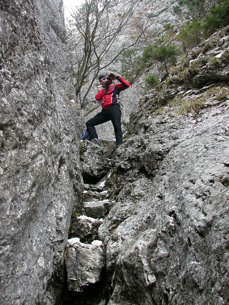 DSCN4974.JPG