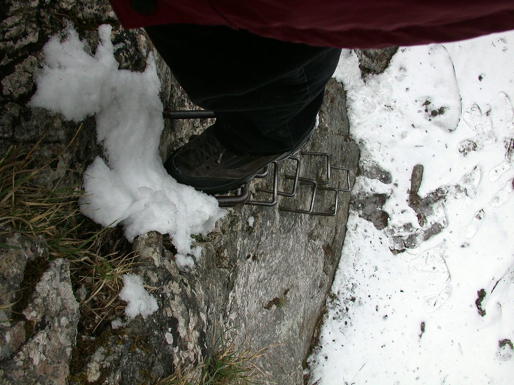 DSCN4975.JPG