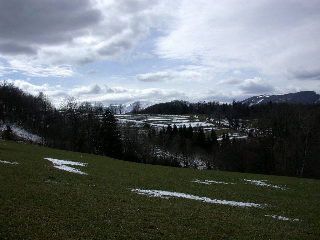 DSCN4979.JPG