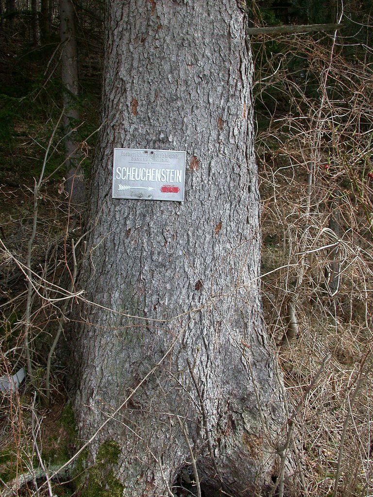 DSCN4984.JPG