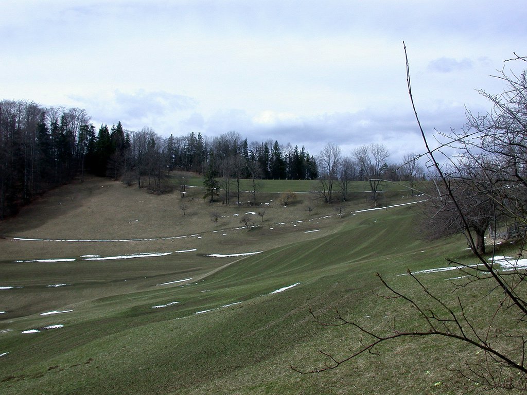 DSCN4985.JPG