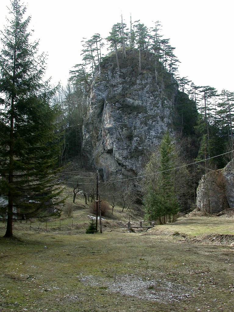 DSCN4990.JPG