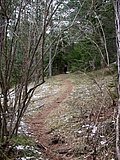 DSCN4928.JPG