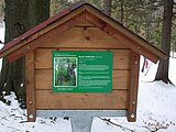 DSCN4941.JPG