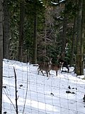 DSCN4947.JPG