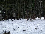 DSCN4949.JPG
