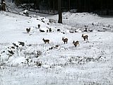 DSCN4952.JPG
