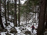 DSCN4968.JPG