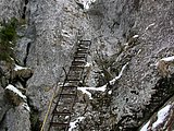 DSCN4972.JPG