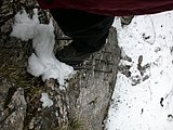DSCN4975.JPG
