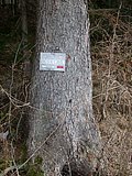 DSCN4984.JPG