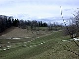 DSCN4985.JPG