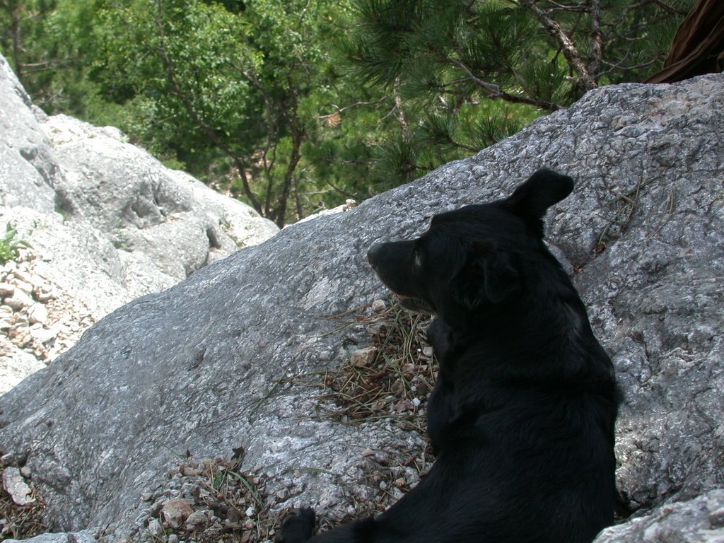 DSCN6327.JPG