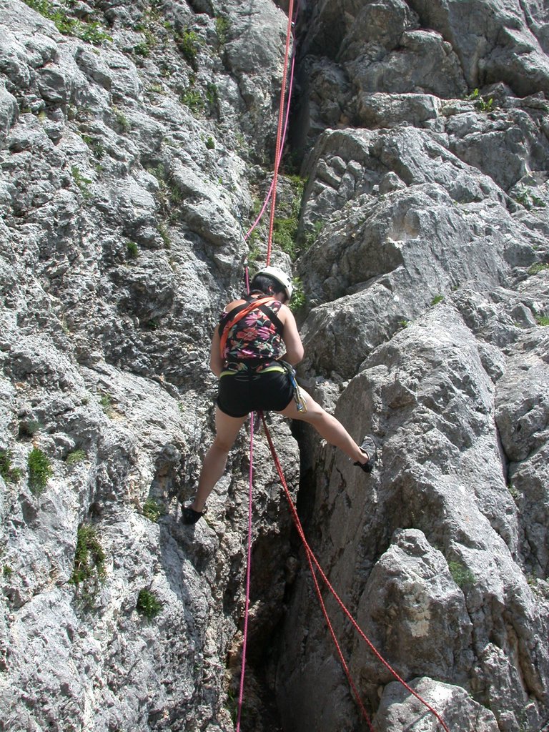 DSCN6329.JPG