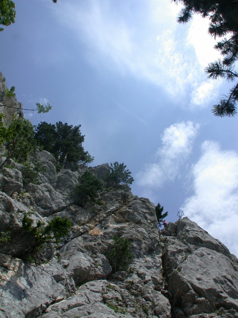 DSCN6343.JPG