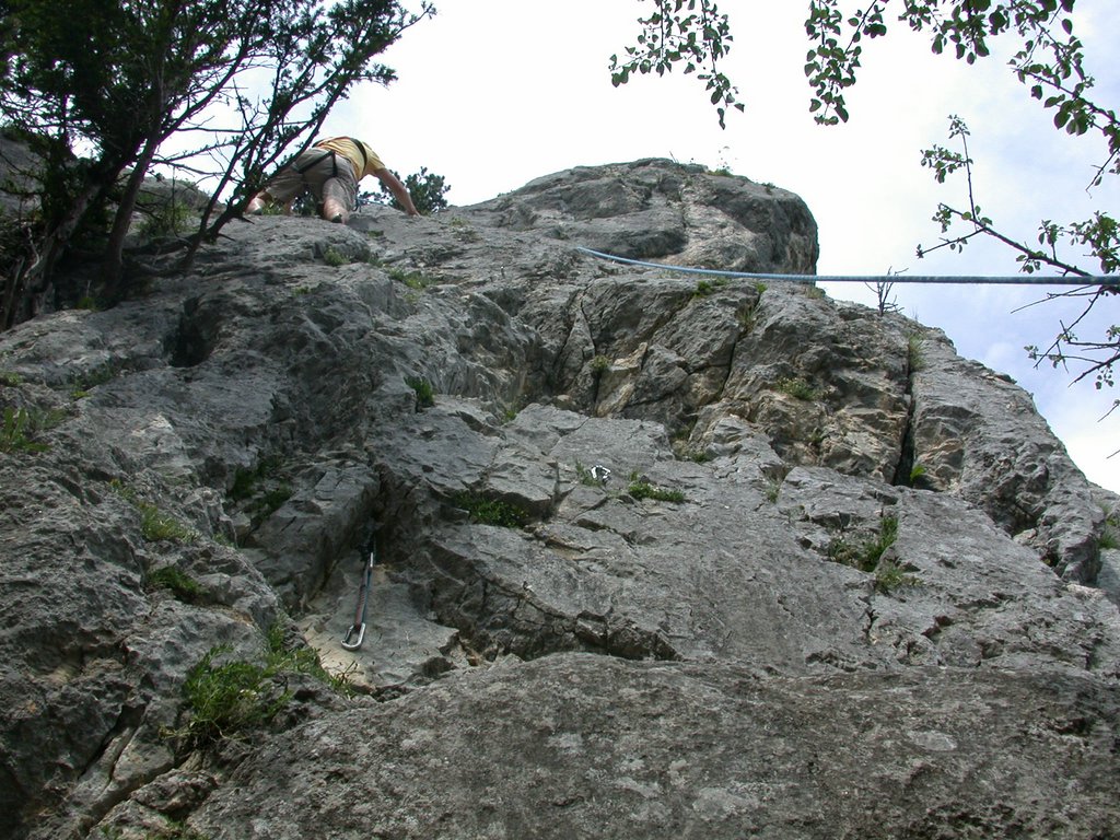 DSCN6347.JPG